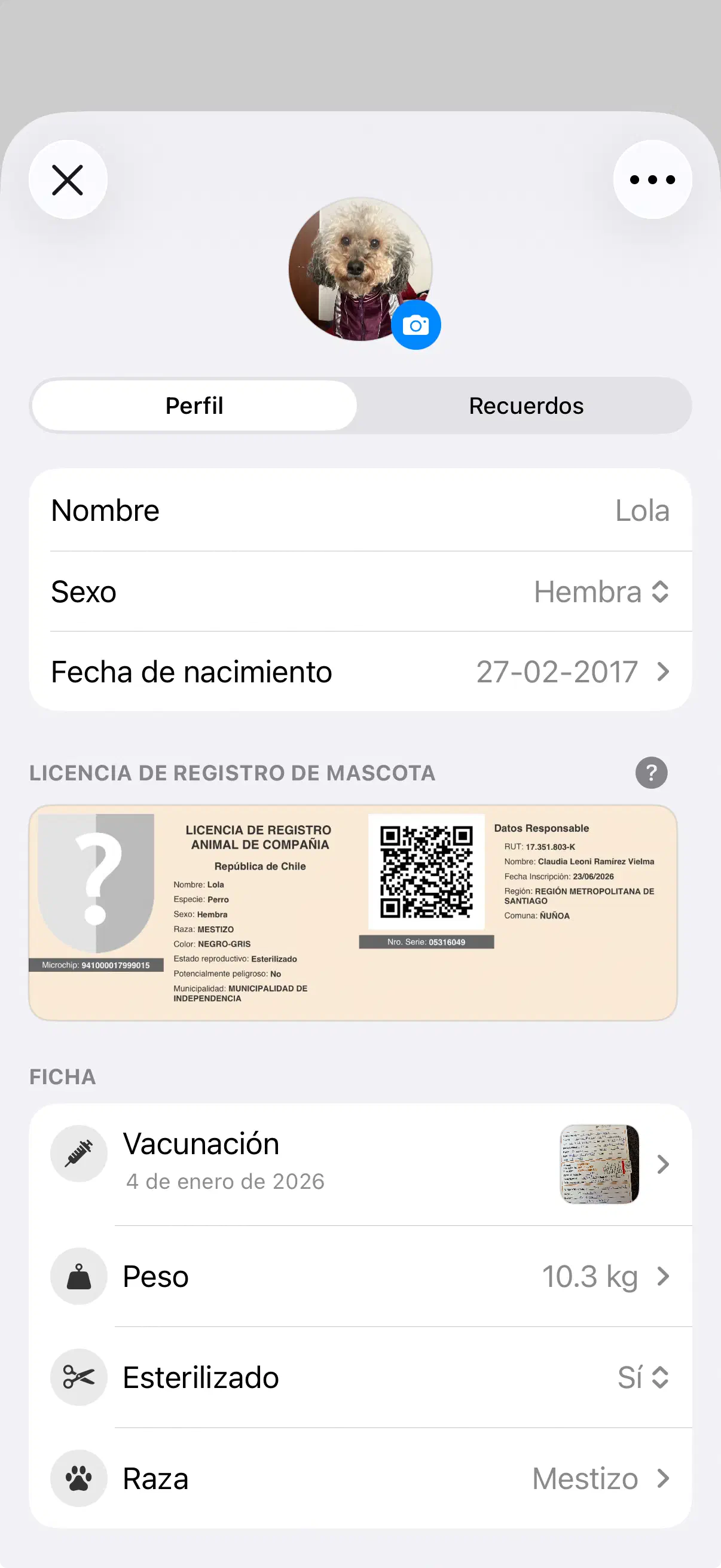 Perfil de la mascota en la app de Yoiko