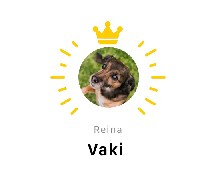 Mascota número uno de la semana en la app de Yoiko