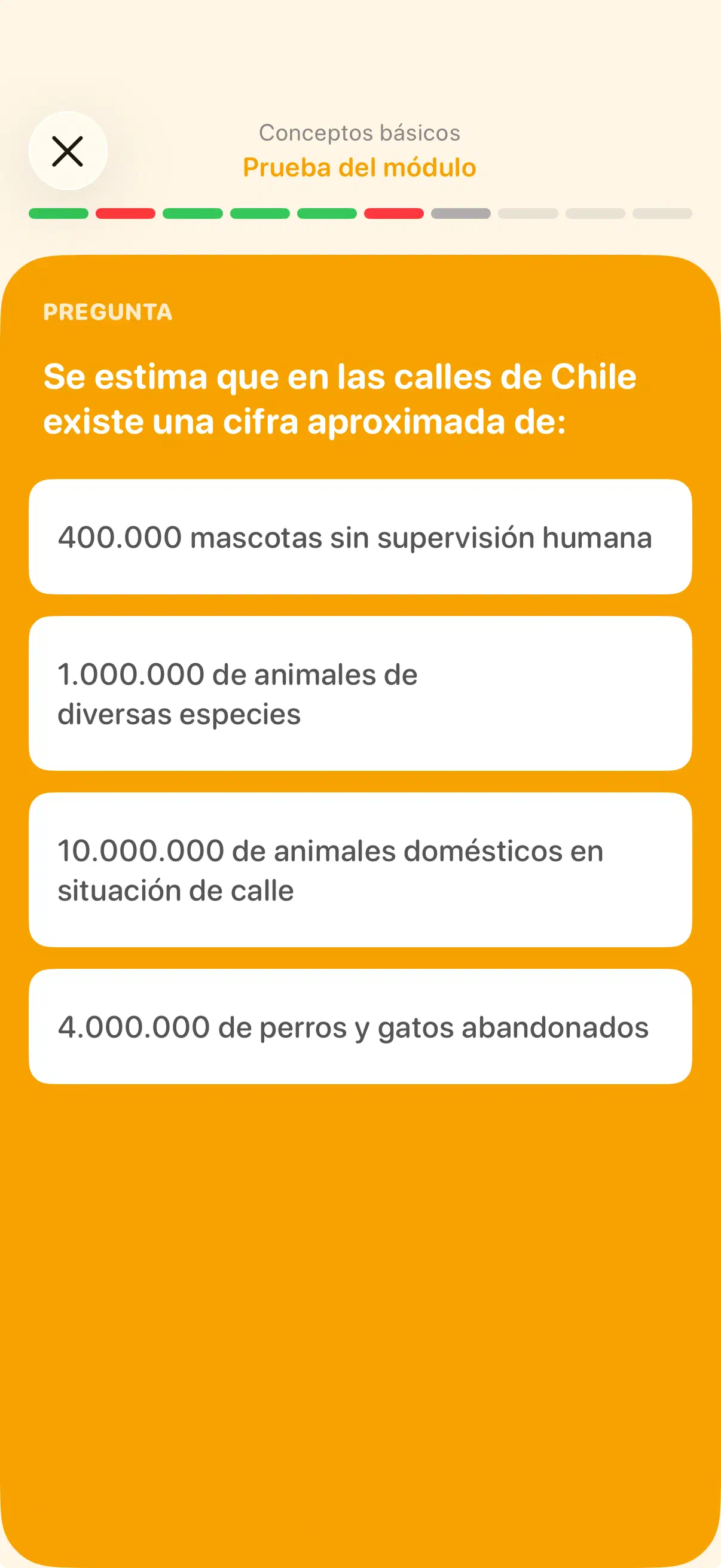 Prueba de un módulo en la app de Yoiko