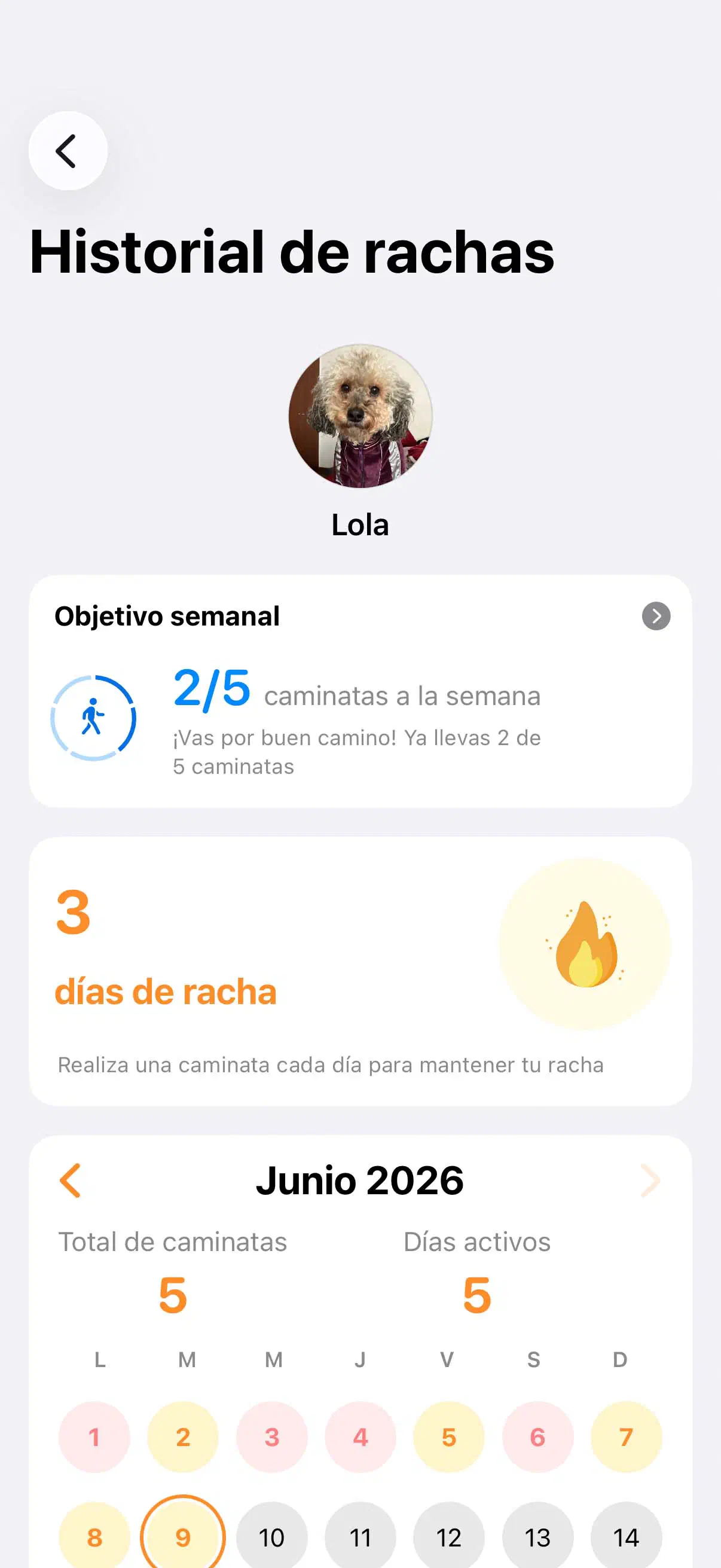Racha de Toti en app de Yoiko