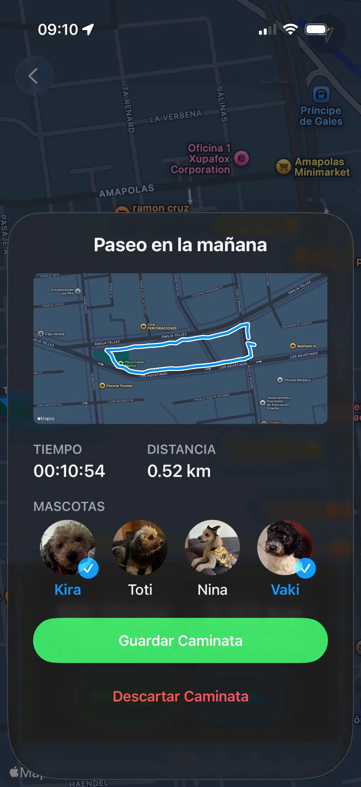 Resumen del paseo en app de Yoiko