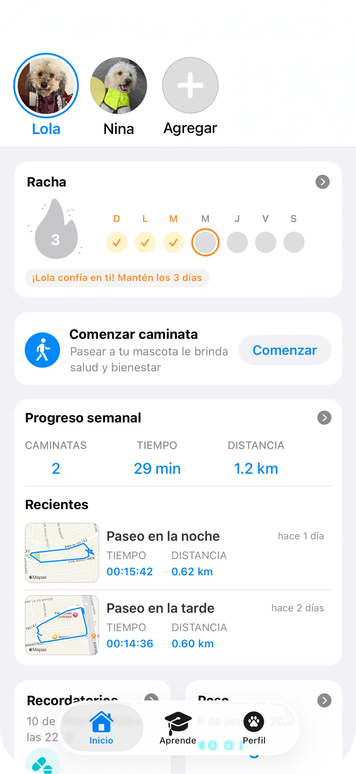 Pantalla principal de Yoiko